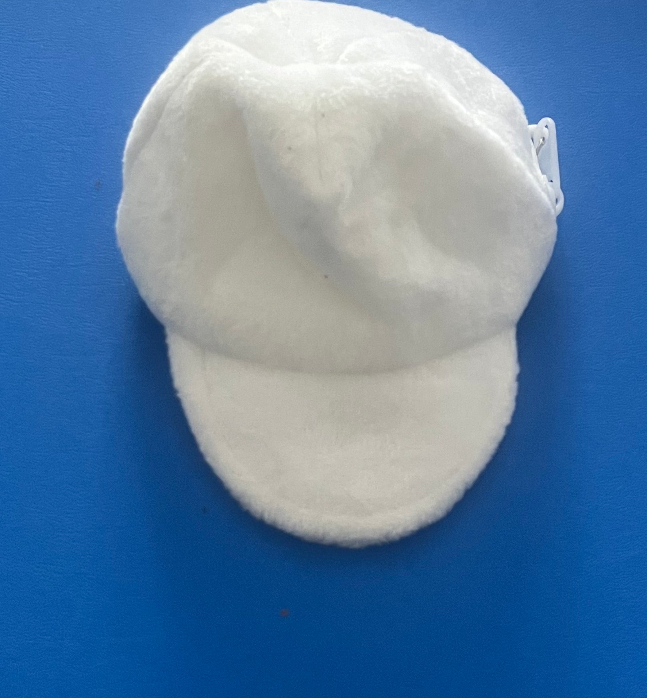 Ball cap coin bag