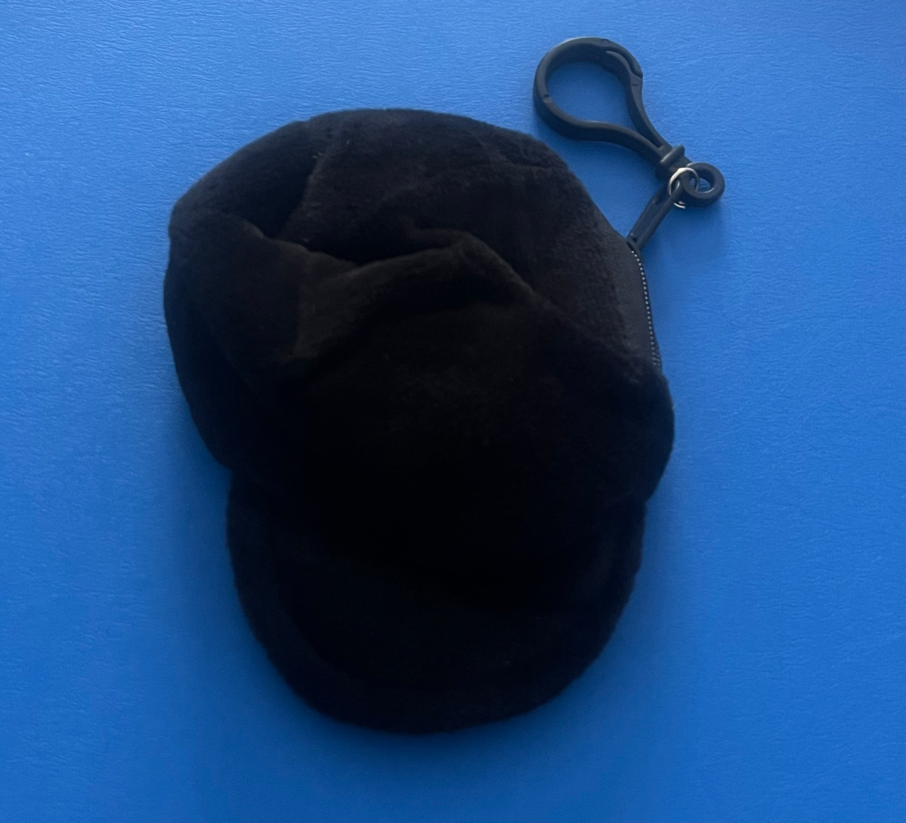 Ball cap coin bag