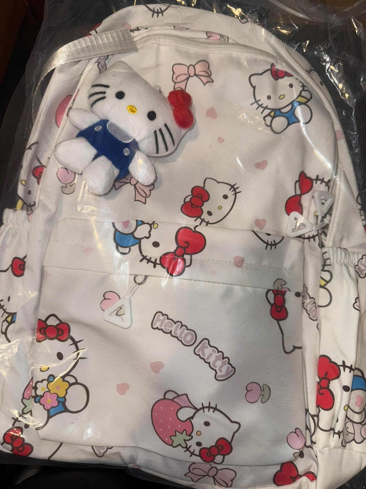 Backpack 🎒 with charm